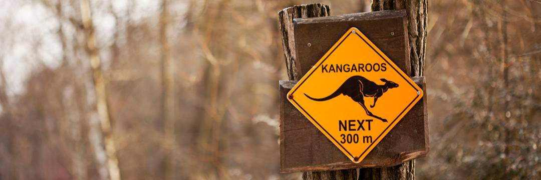 Road Sign Down Under mit Känguruh